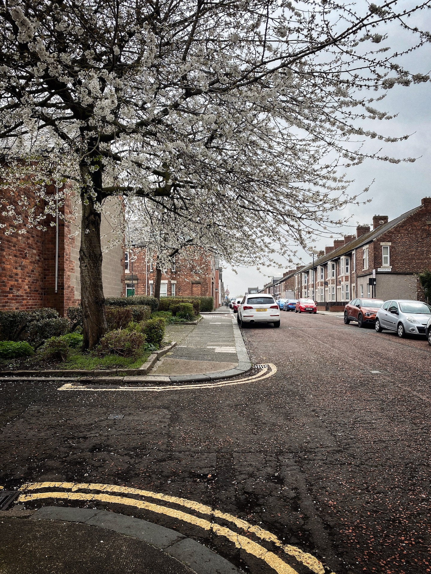 Photo For You by Jack Lowe