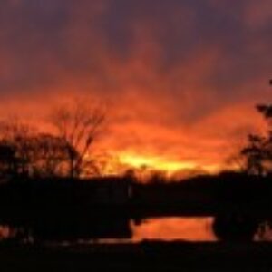 Profile photo of Elijah