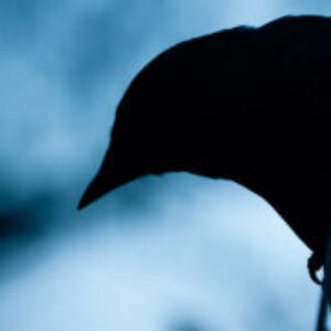 Profile photo of Jack